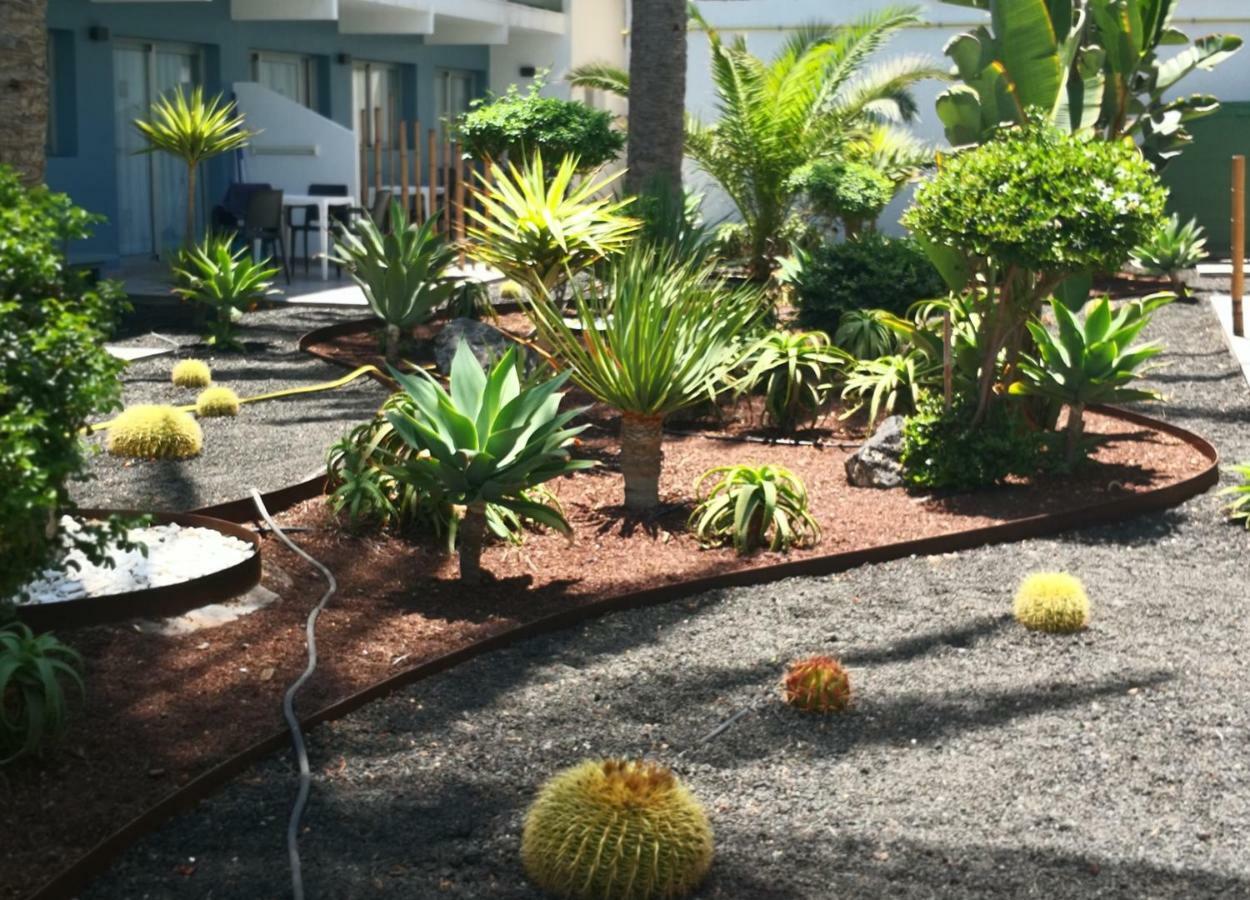 Appartement Vista Bristol 50B Corralejo Exteriör bild
